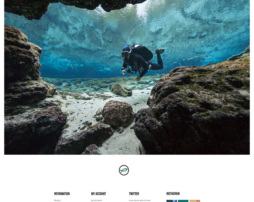 Florida Freedivers – Web Design for Hyperspacehq