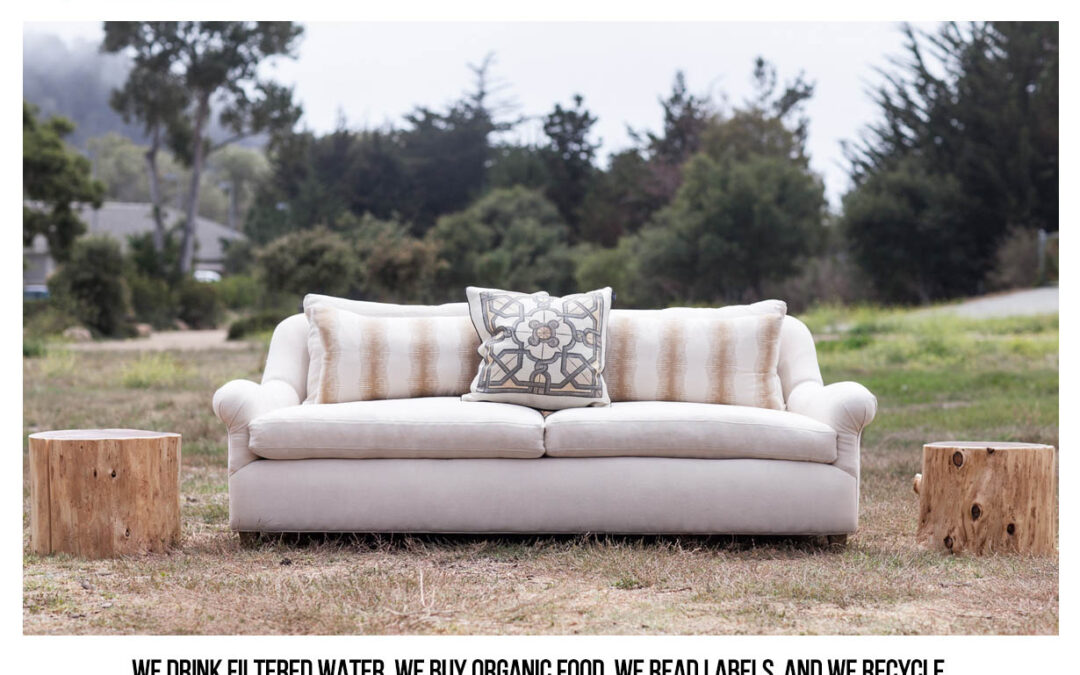 +Olive Web-Design for Hyperspacehq