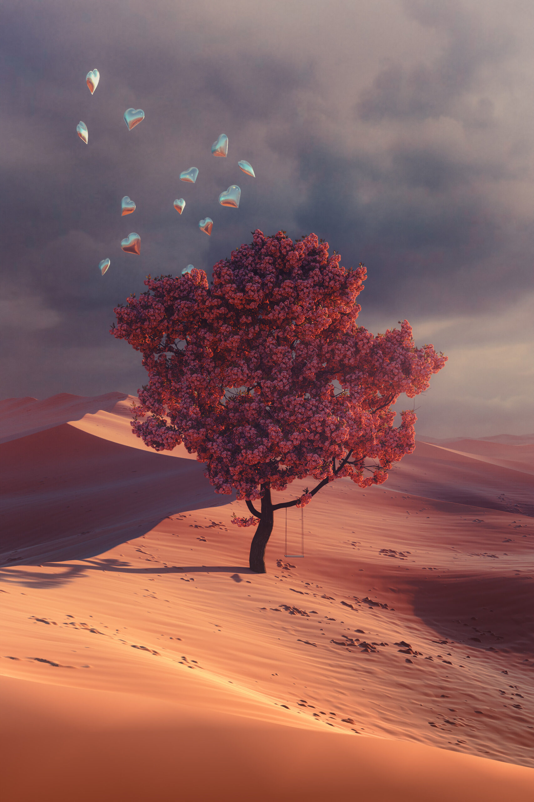 Desert's Dream env study