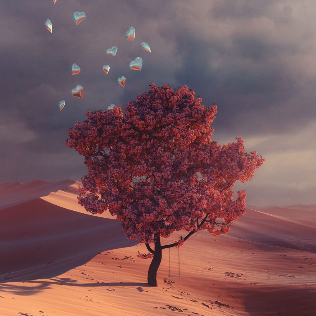 Desert’s Dream env study